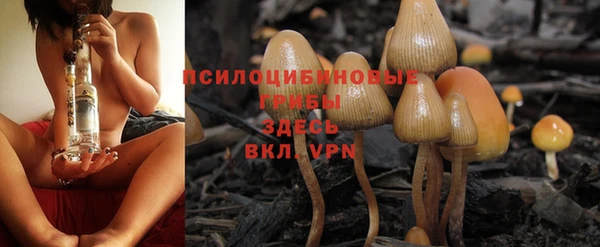 ПСИЛОЦИБИНОВЫЕ ГРИБЫ Алексин