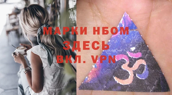 прущие грибы Аркадак